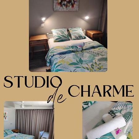 Joli Studio Cocooning & Discret, A 2Mns De La 4 Voies Ла-Посесьон Экстерьер фото